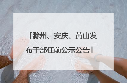滁州、安庆、黄山发布干部任前公示公告