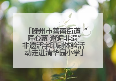 滕州市善南街道“匠心聚 邂逅非遗”非遗活字印刷体验活动走进清华园小学