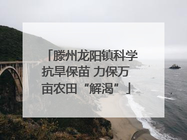 滕州龙阳镇科学抗旱保苗 力保万亩农田“解渴”