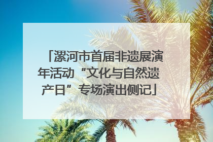 漯河市首届非遗展演年活动“文化与自然遗产日”专场演出侧记
