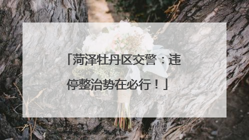 菏泽牡丹区交警：违停整治势在必行！