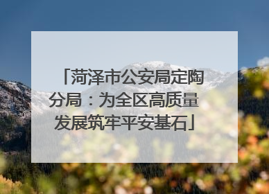 菏泽市公安局定陶分局：为全区高质量发展筑牢平安基石