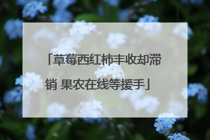 草莓西红柿丰收却滞销 果农在线等援手