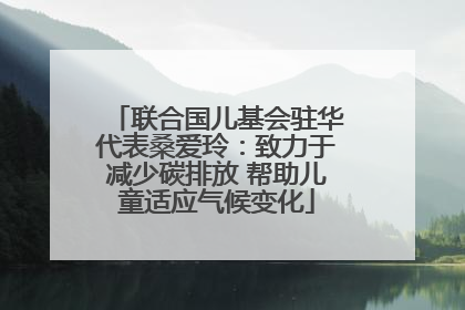 联合国儿基会驻华代表桑爱玲：致力于减少碳排放 帮助儿童适应气候变化