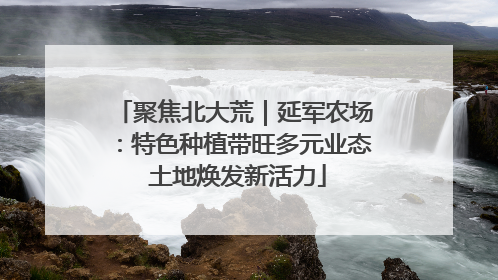 聚焦北大荒｜延军农场：特色种植带旺多元业态 土地焕发新活力