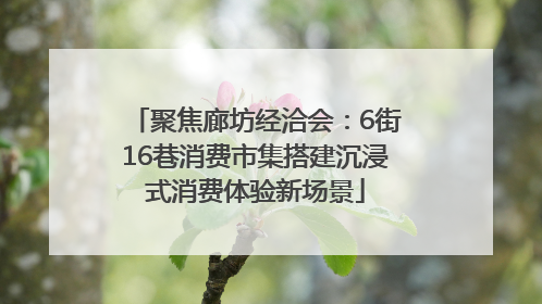 聚焦廊坊经洽会：6街16巷消费市集搭建沉浸式消费体验新场景