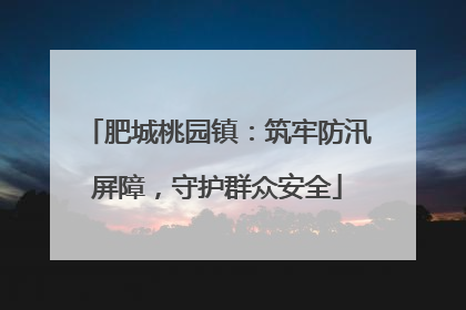 肥城桃园镇：筑牢防汛屏障，守护群众安全