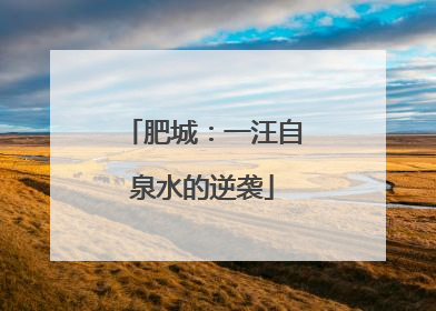 肥城：一汪自泉水的逆袭