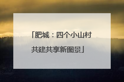 肥城：四个小山村共建共享新图景
