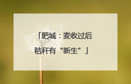 肥城：麦收过后秸秆有“新生”