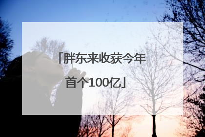 胖东来收获今年首个100亿