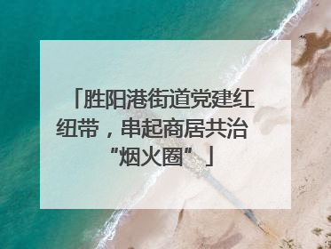 胜阳港街道党建红纽带，串起商居共治 “烟火圈”