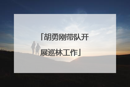 胡勇刚带队开展巡林工作