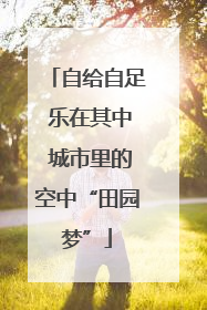自给自足 乐在其中 城市里的空中“田园梦”