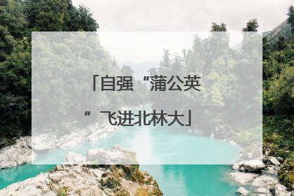 自强“蒲公英”飞进北林大