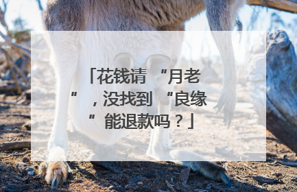 花钱请 “月老 ”，没找到 “良缘 ”能退款吗？