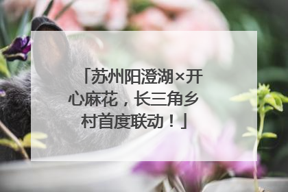 苏州阳澄湖×开心麻花，长三角乡村首度联动！