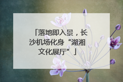 落地即入景，长沙机场化身“湖湘文化展厅”