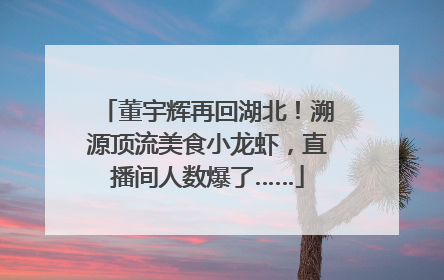 董宇辉再回湖北！溯源顶流美食小龙虾，直播间人数爆了……