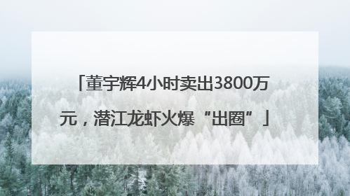 董宇辉4小时卖出3800万元，潜江龙虾火爆“出圈”