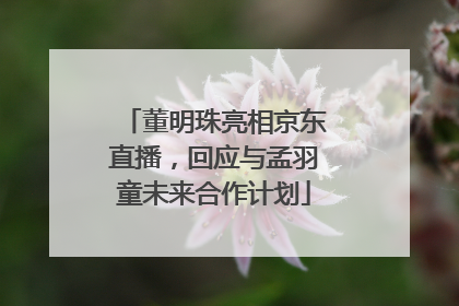 董明珠亮相京东直播，回应与孟羽童未来合作计划