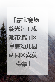 蒙宝赛场绽光芒！成都市锦江区童蒙幼儿园两园区喜获荣耀