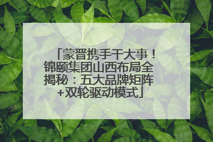 蒙晋携手干大事！锦颐集团山西布局全揭秘：五大品牌矩阵+双轮驱动模式