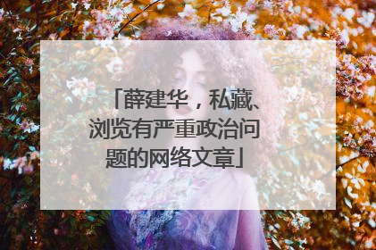 薛建华，私藏、浏览有严重政治问题的网络文章
