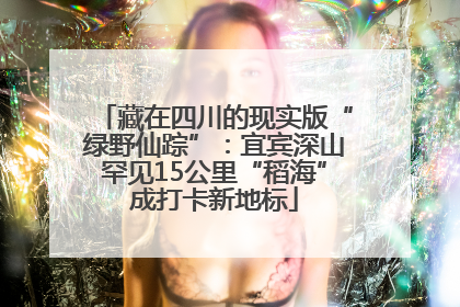 藏在四川的现实版“绿野仙踪”：宜宾深山罕见15公里“稻海”成打卡新地标