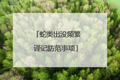 蛇类出没频繁 谨记防范事项