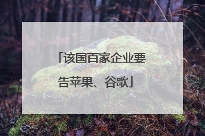 该国百家企业要告苹果、谷歌