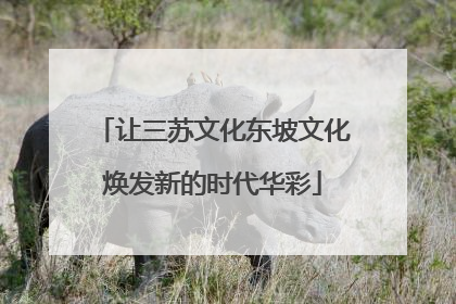 让三苏文化东坡文化焕发新的时代华彩