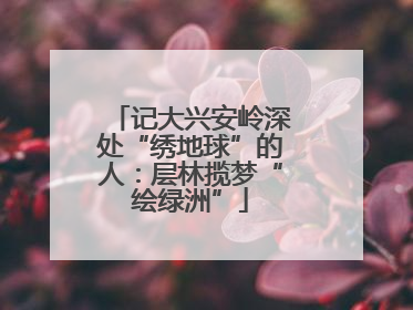 记大兴安岭深处“绣地球”的人：层林揽梦“绘绿洲”