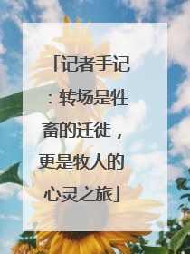 记者手记：转场是牲畜的迁徙，更是牧人的心灵之旅