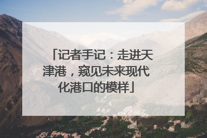 记者手记：走进天津港，窥见未来现代化港口的模样