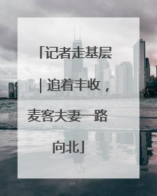 记者走基层｜追着丰收，麦客夫妻一路向北