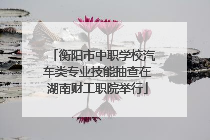 衡阳市中职学校汽车类专业技能抽查在湖南财工职院举行