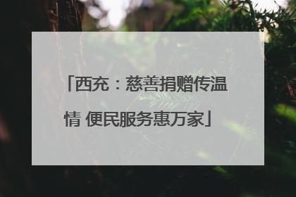 西充：慈善捐赠传温情 便民服务惠万家