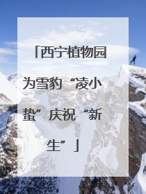 西宁植物园为雪豹“凌小蛰”庆祝“新生”