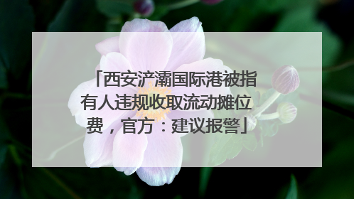 西安浐灞国际港被指有人违规收取流动摊位费，官方：建议报警