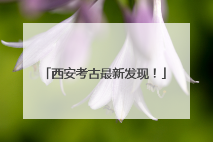 西安考古最新发现！