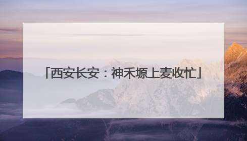 西安长安：神禾塬上麦收忙