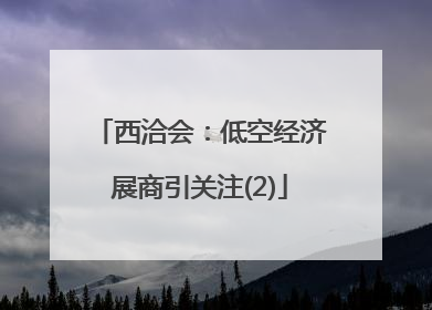 西洽会：低空经济展商引关注(2)