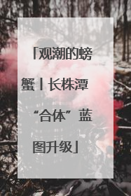 观潮的螃蟹丨长株潭“合体”蓝图升级