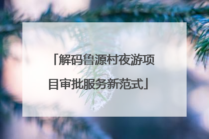 解码鲁源村夜游项目审批服务新范式
