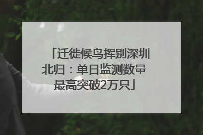 迁徙候鸟挥别深圳北归：单日监测数量最高突破2万只