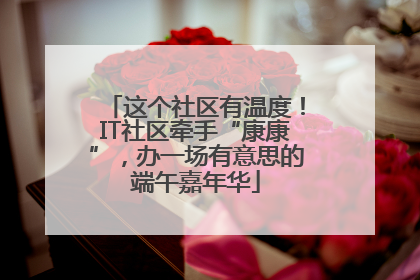 这个社区有温度！IT社区牵手“康康”，办一场有意思的端午嘉年华