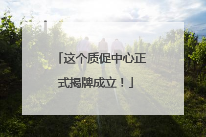 这个质促中心正式揭牌成立！