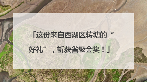 这份来自西湖区转塘的“好礼”，斩获省级金奖！
