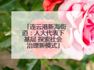 连云港新海街道：人大代表下基层 探索社会治理新模式